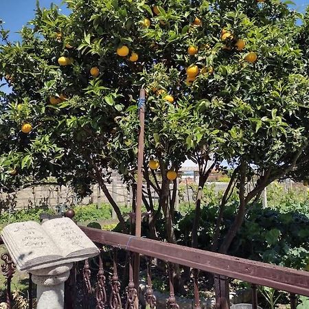 Apartamento En San Vicente De O Grove Kültér fotó
