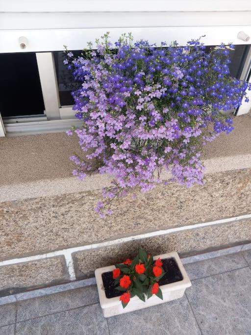 Apartamento En San Vicente De O Grove Kültér fotó